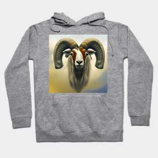 Aries Hoodie